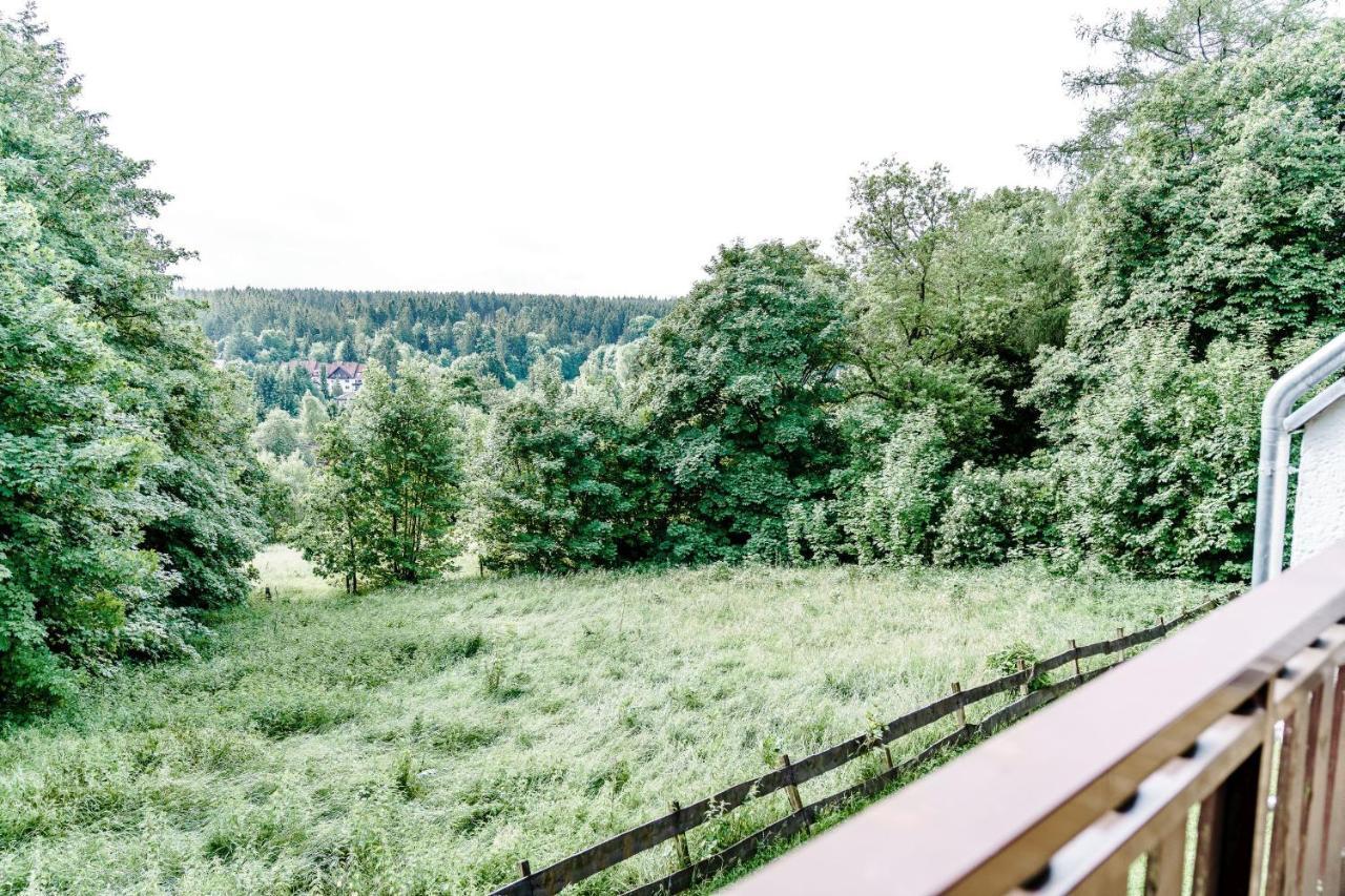 Wiesenblick Goslar Eksteriør bilde